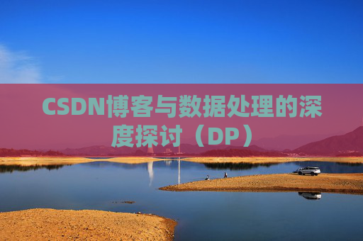 CSDN博客与数据处理的深度探讨（DP）